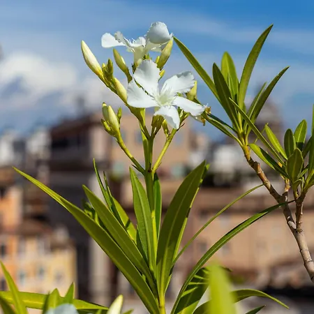 Iflat Campo De' Fiori Panoramic Penthouse Apartment Rome